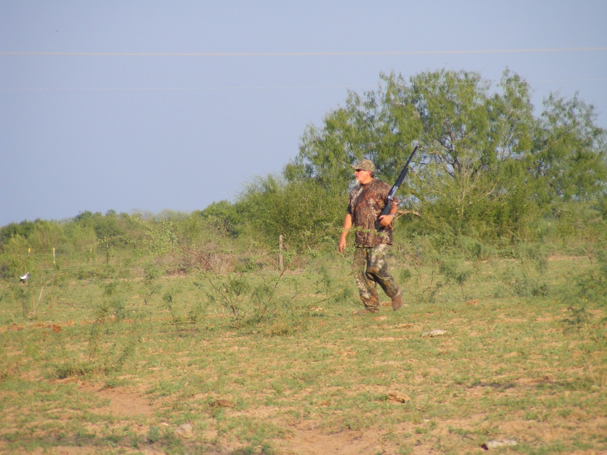 Texas Dove Hunting